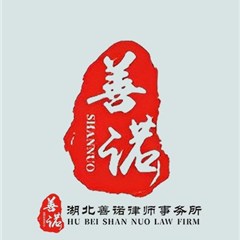 湖北善诺事务所