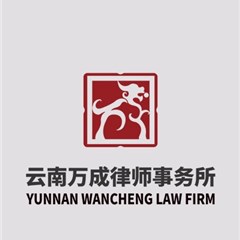 云南万成事务所